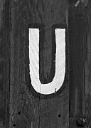 Wall_Art_Alphabet_Photography_Art_ 2266